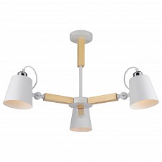Люстра на штанге arte lamp oscar a7...